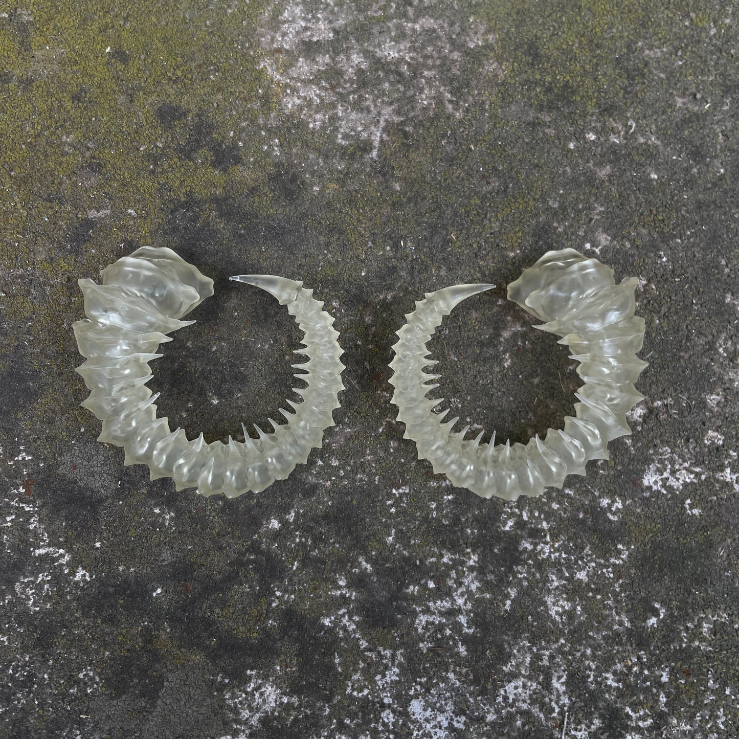 HELIX HORNS - BONE SHADE