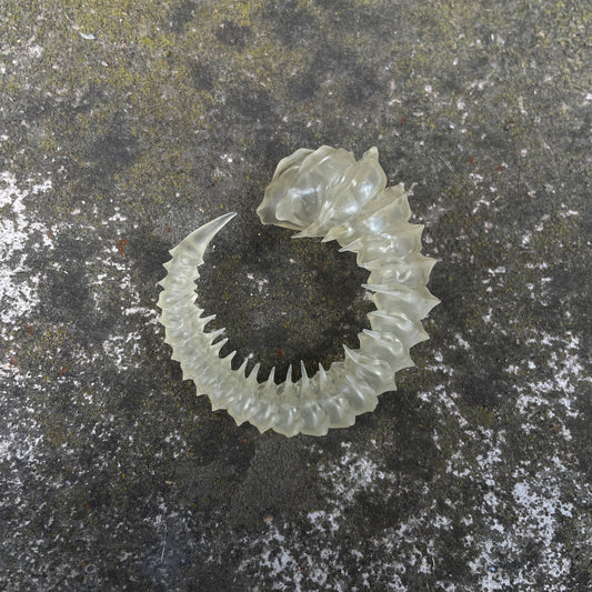 HELIX HORNS - BONE SHADE