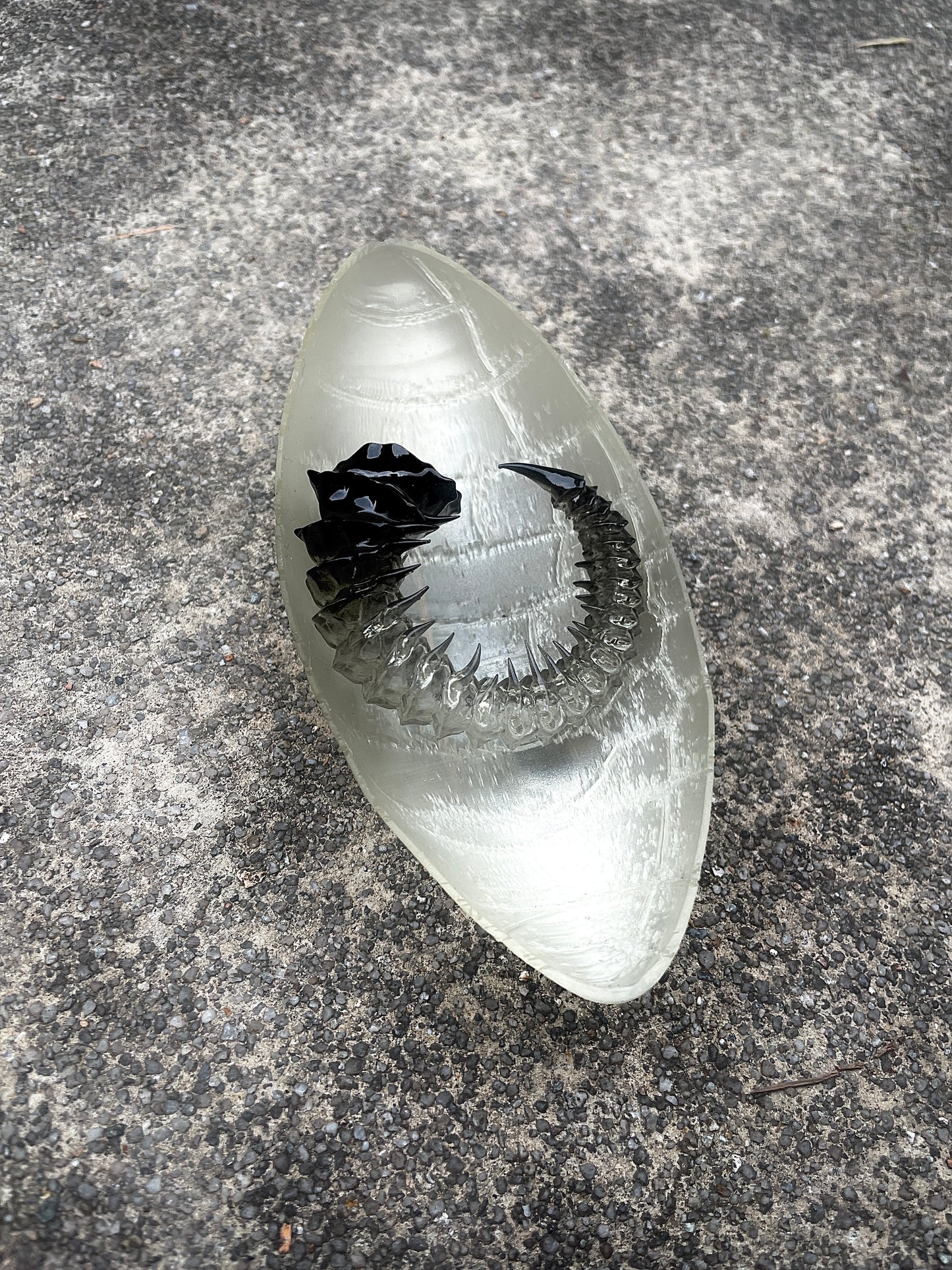 HELIX HORN - TAR SHADE