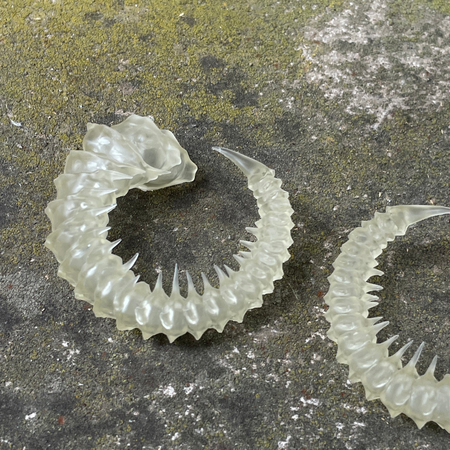 HELIX HORNS - BONE SHADE