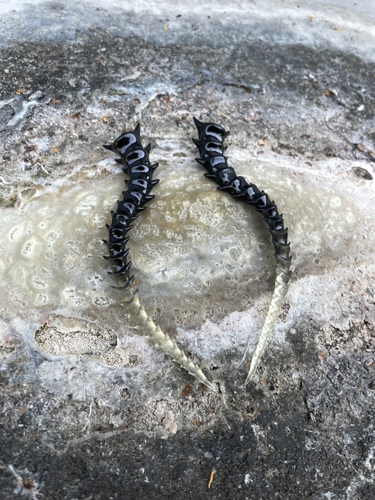 SKELETON - TAR SHADE