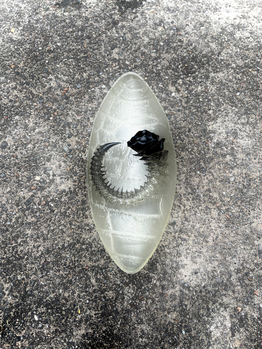 HELIX HORN - TAR SHADE