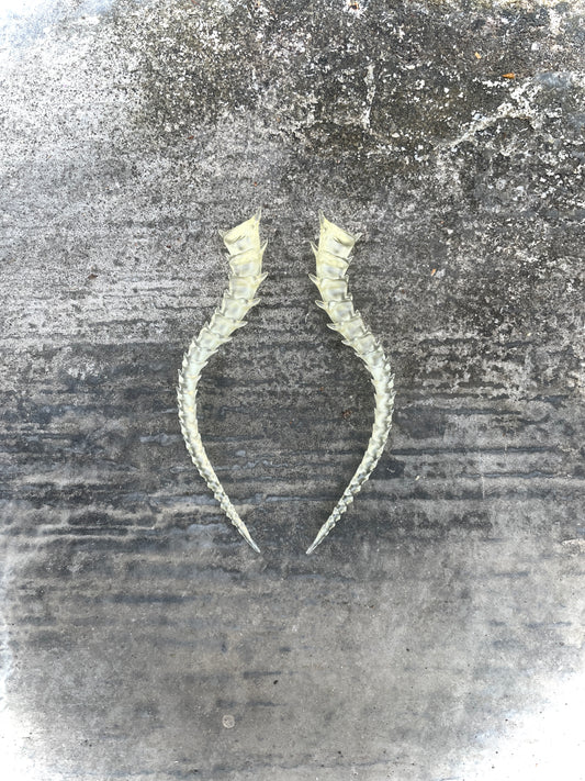 SKELETON TAILED - BONE SHADE