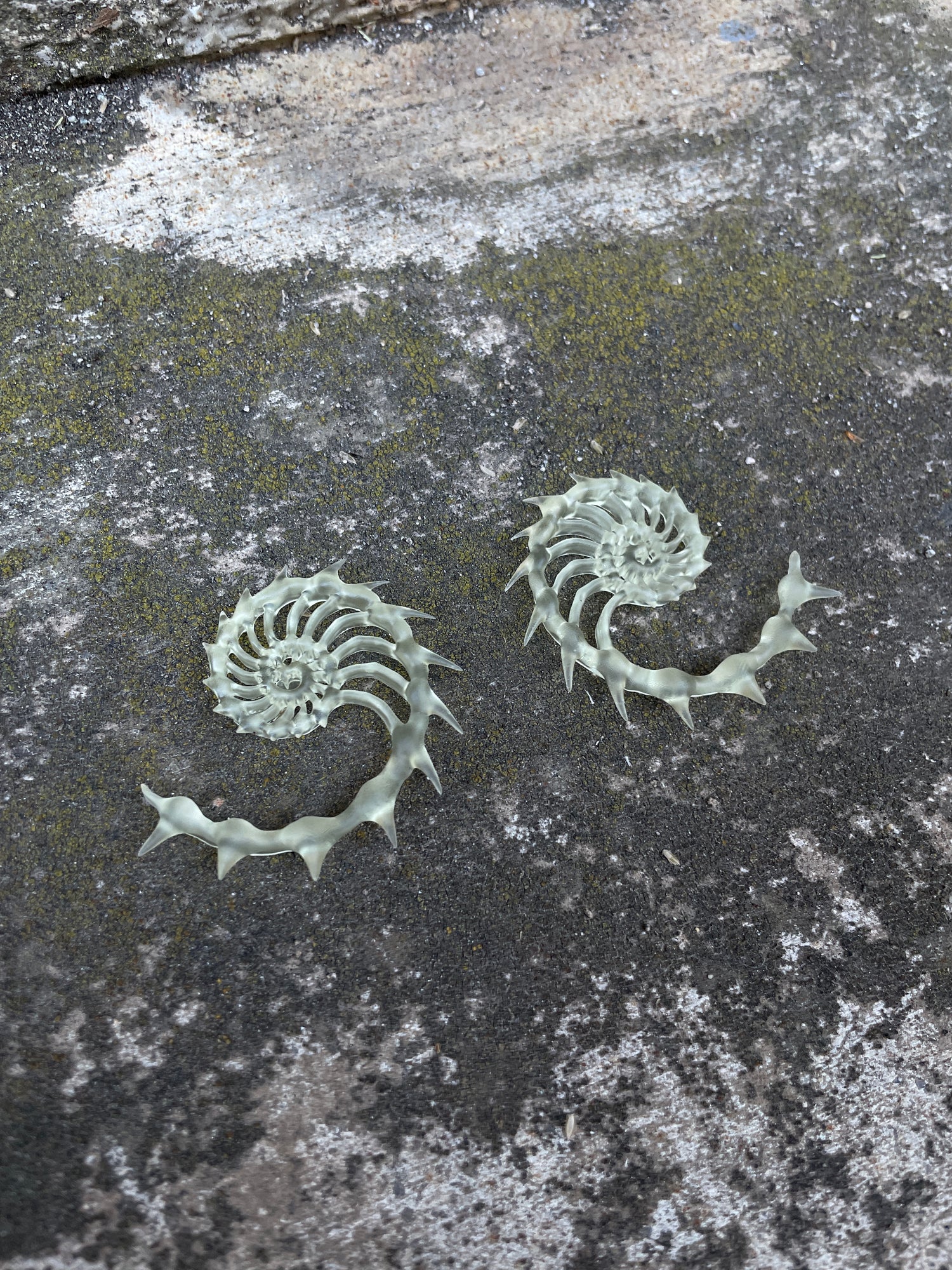 MORPH