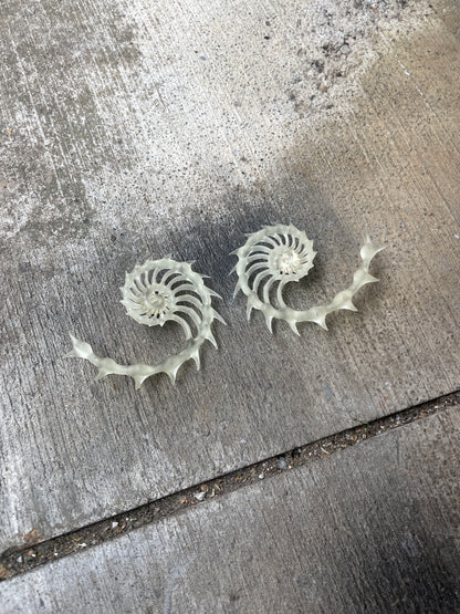 HELIX AUREA - BONE SHADE