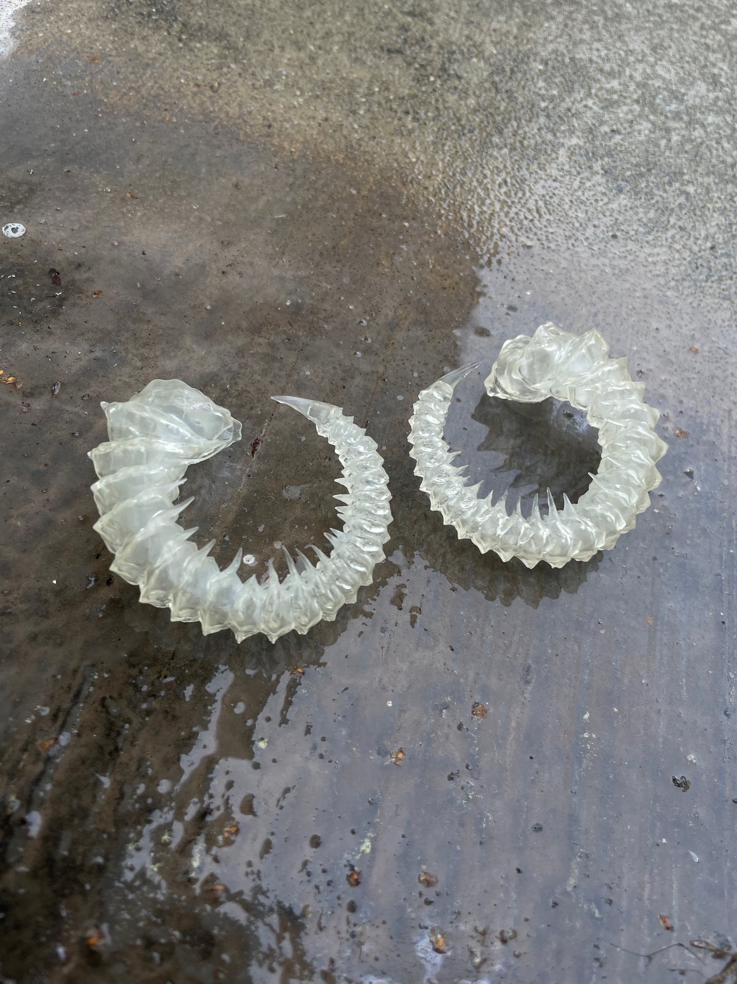 HELIX HORNS - BONE SHADE