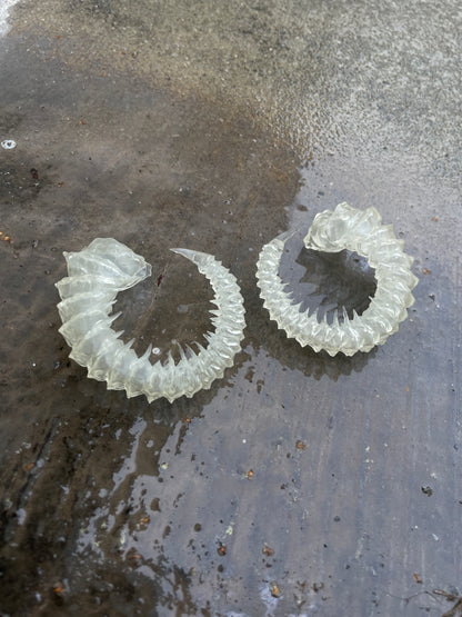 HELIX HORNS - BONE SHADE