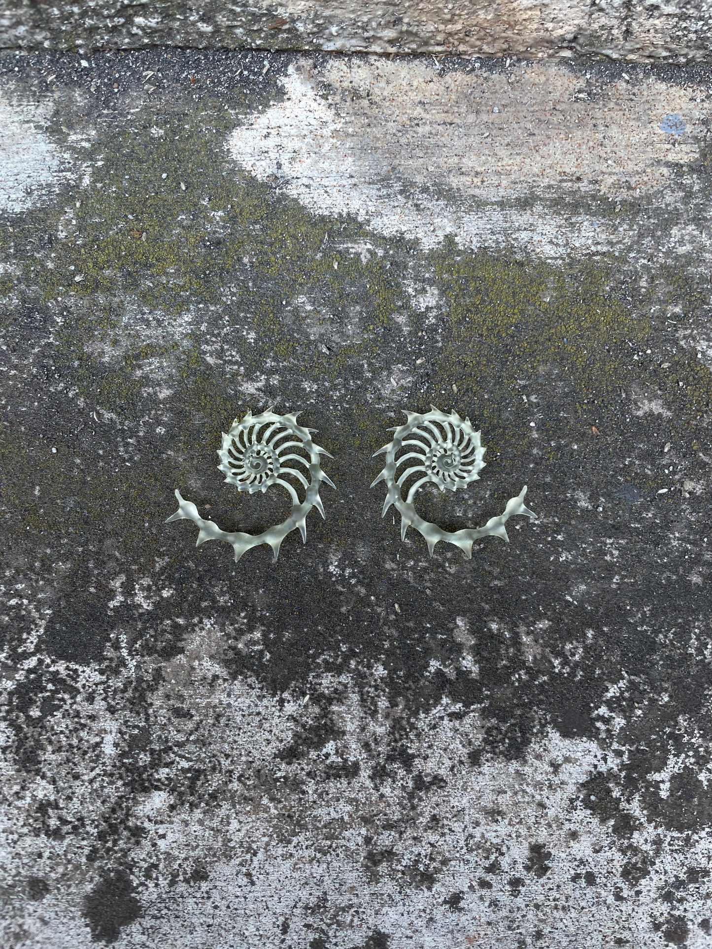 MINI HELIX AUREA - BONE SHADE