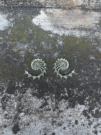 MINI HELIX AUREA - BONE SHADE