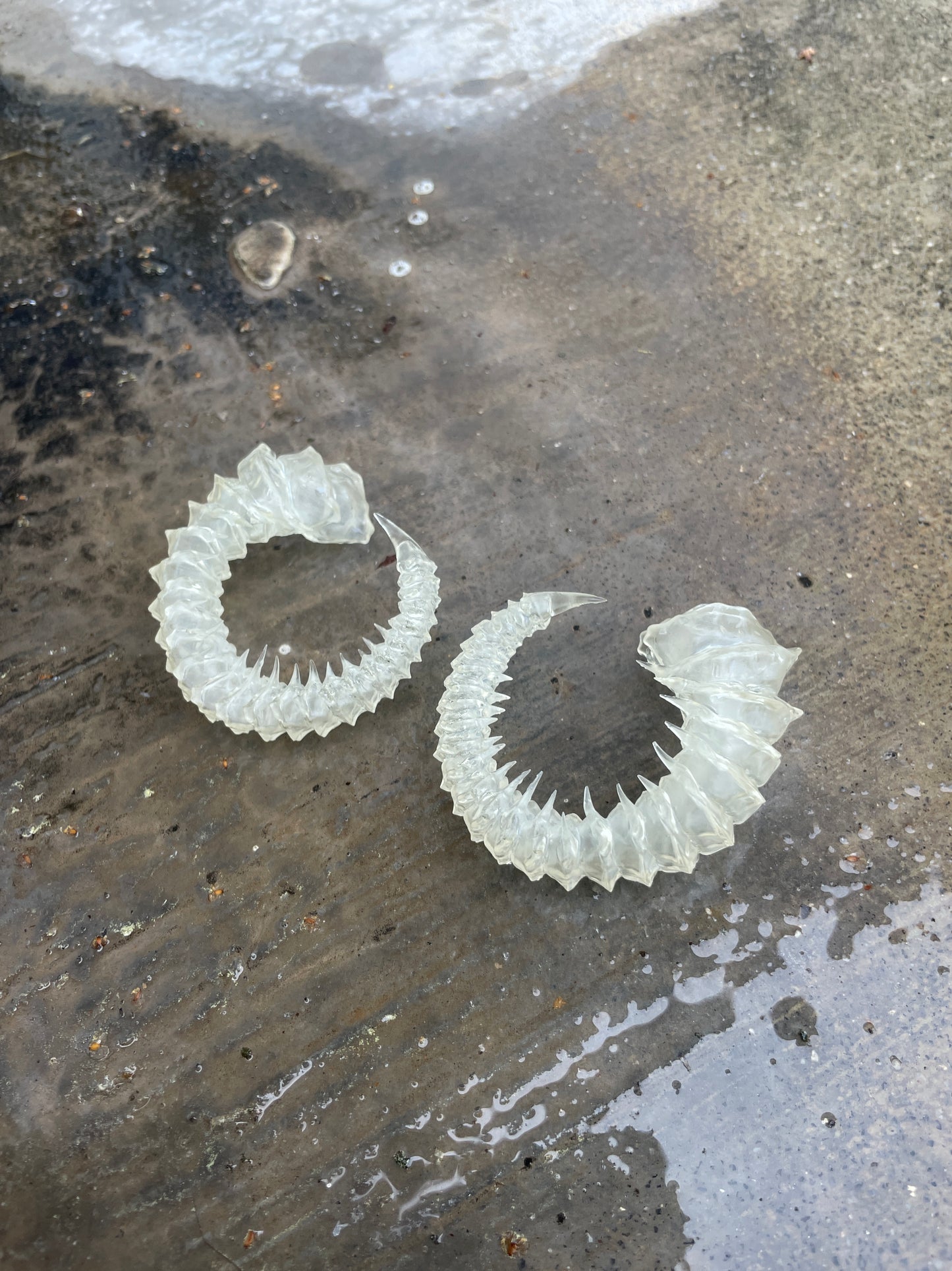 HELIX HORNS - BONE SHADE