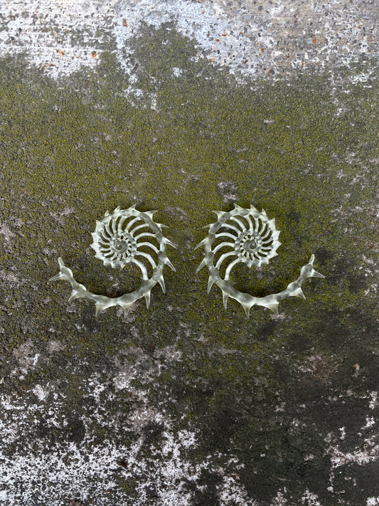 HELIX AUREA - BONE SHADE