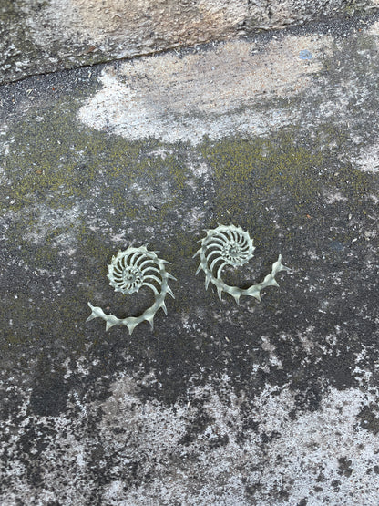 MINI HELIX AUREA - BONE SHADE