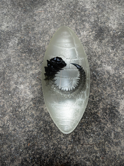 HELIX HORN - TAR SHADE