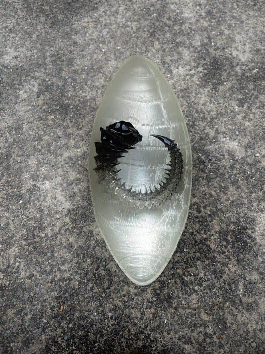 HELIX HORN - TAR SHADE