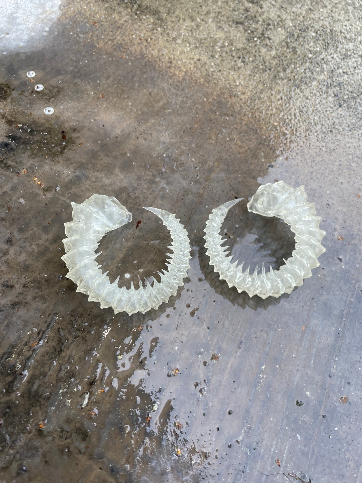 HELIX HORNS - BONE SHADE