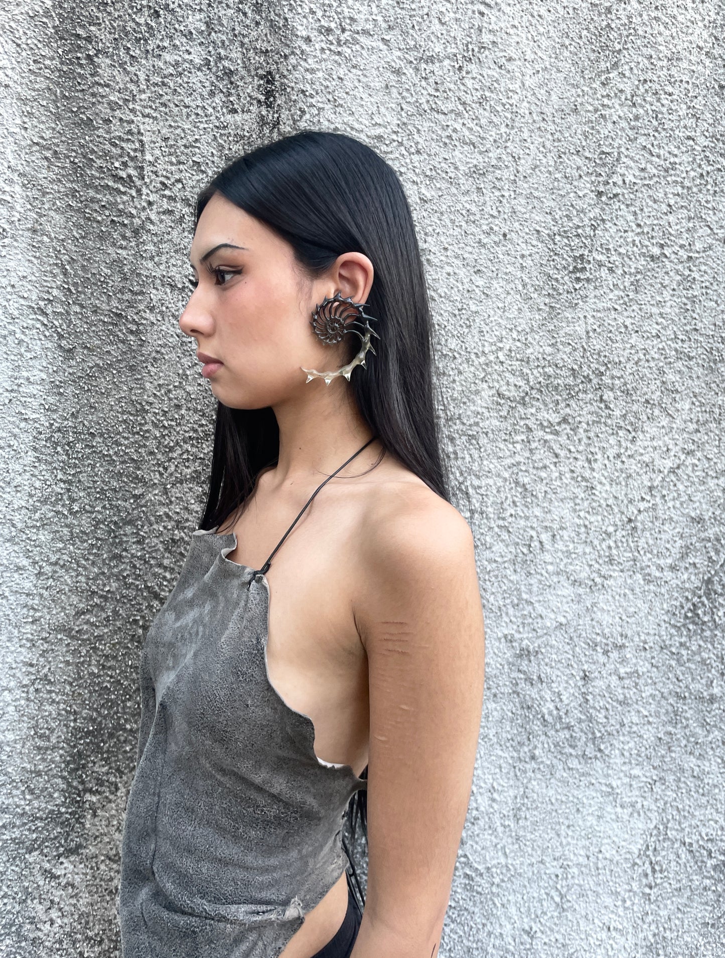 HELIX AUREA - TAR SHADE