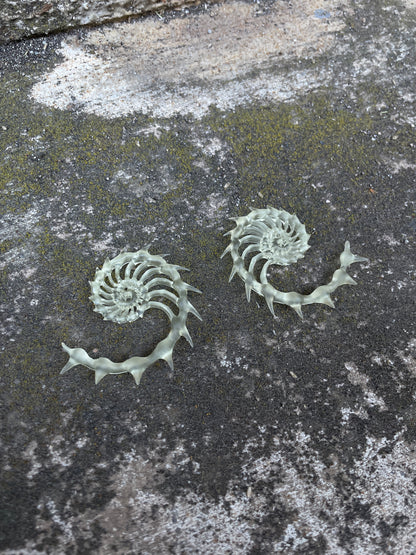 MINI HELIX AUREA - BONE SHADE