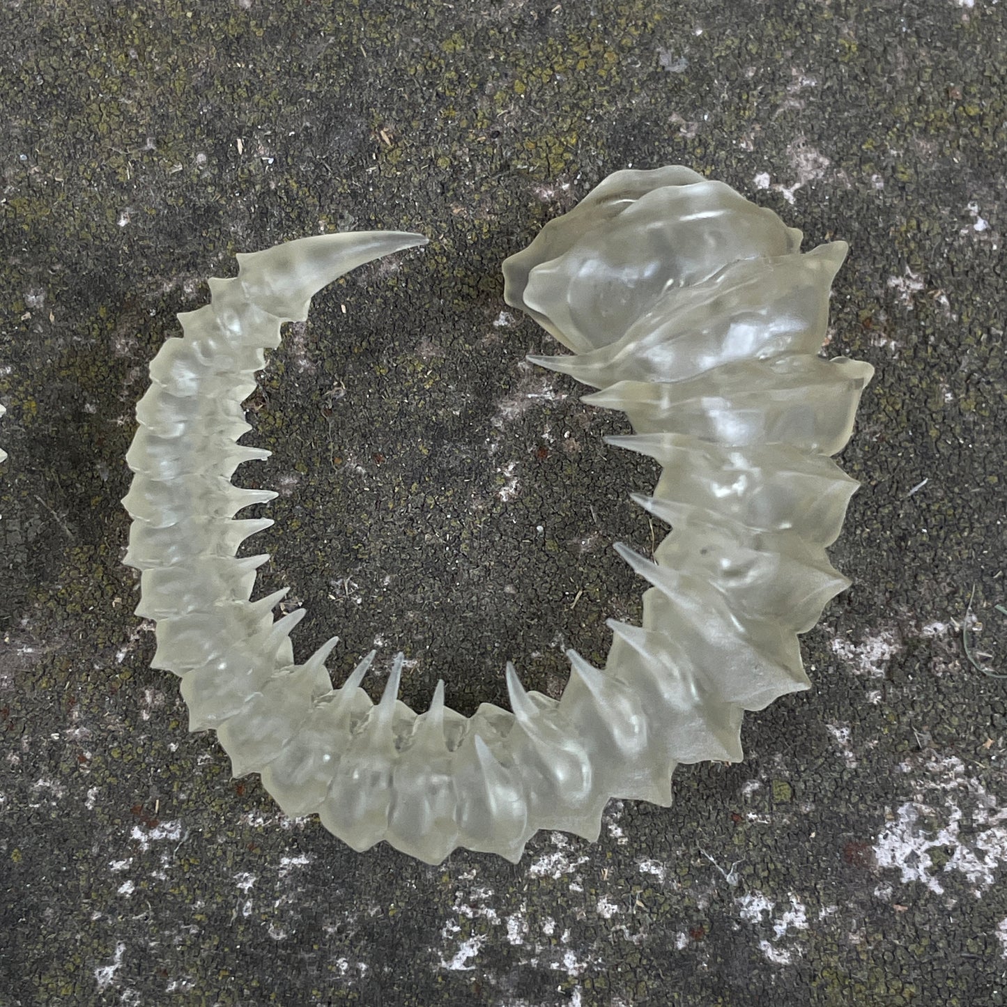 HELIX HORNS - BONE SHADE
