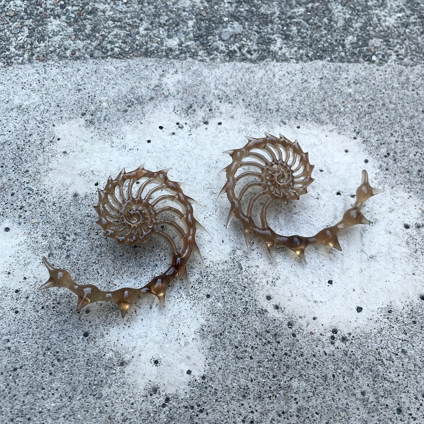 1/1 HELIX AUREA - RUST SHADE